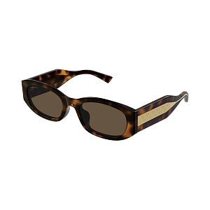 Очки с/з Gucci GG2068SA 002 55