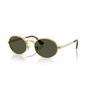 Очки с/з Ray-Ban RB 3931 001/31 54