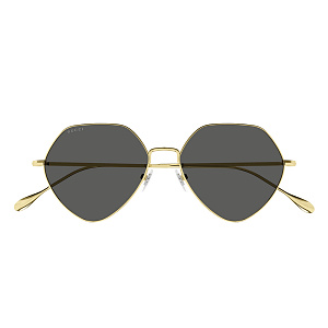 Очки с/з Gucci GG1182S 001 55