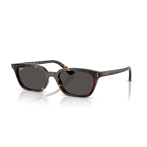 Очки с/з Ray-Ban RB 4456 1359/87 53