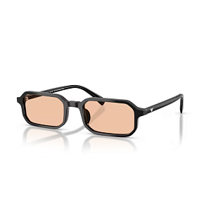 Очки с/з EMPORIO ARMANI EA 4253U 5017/93 54