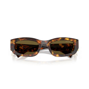 Очки с/з MIU MIU SMU B04 14L-09Z 53